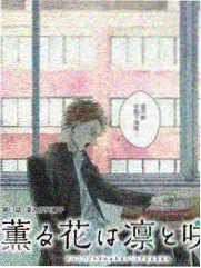 华策影视 乘风破浪 第四季 综艺